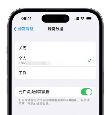 槐荫苹果维修服务分享如何在iPhone上使用双卡 